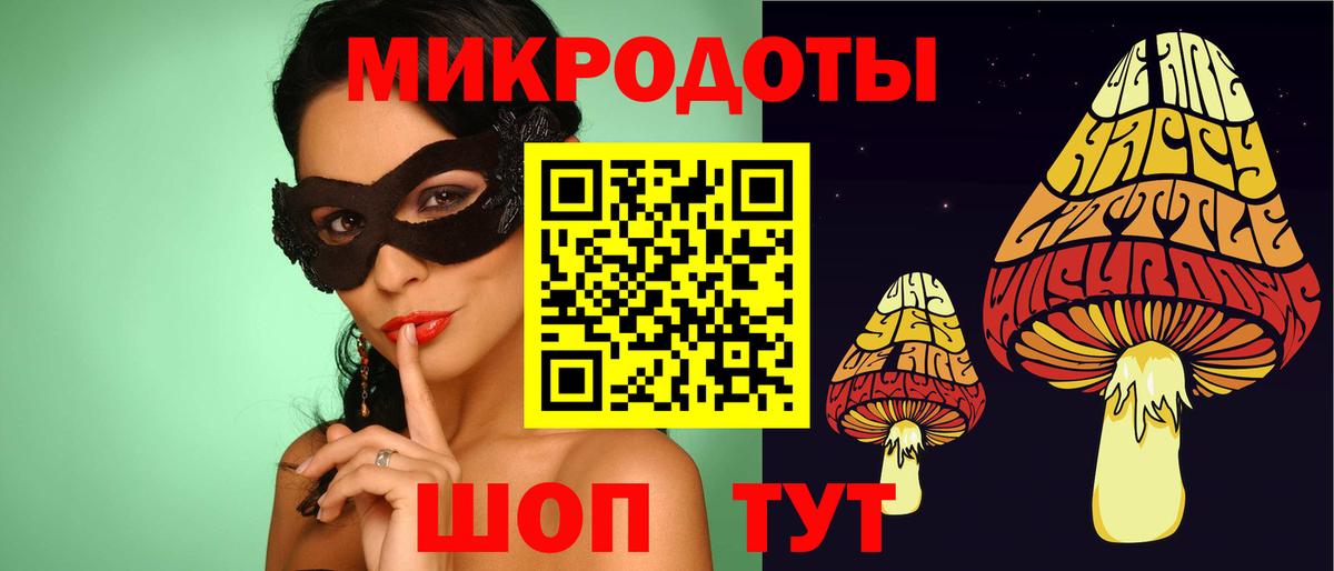 Псилоцибиновые грибы мицелий Тихвин